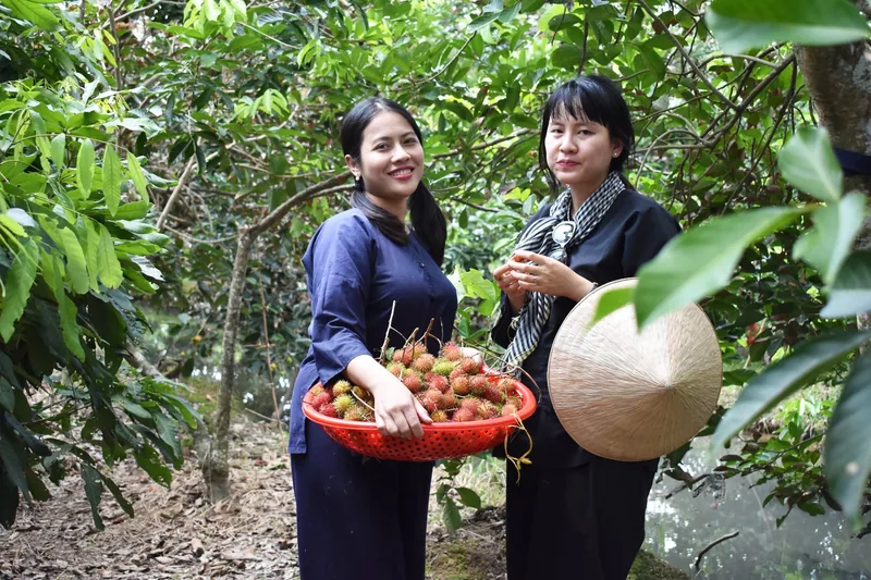 Fruit Picking