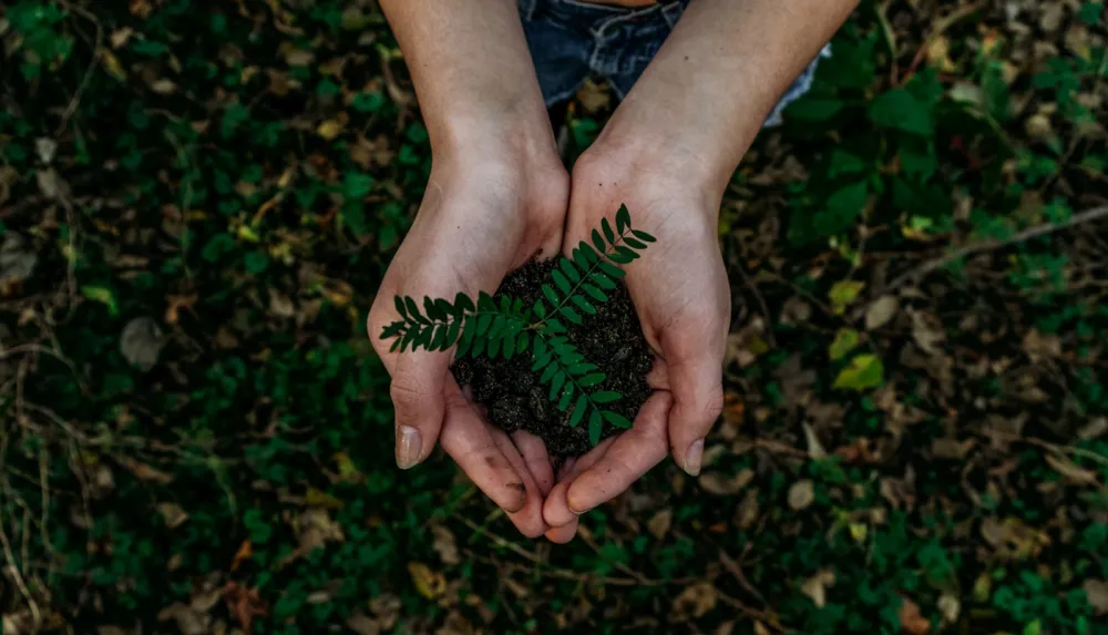 Tree Planting & Reforestation — community project in Vietnam