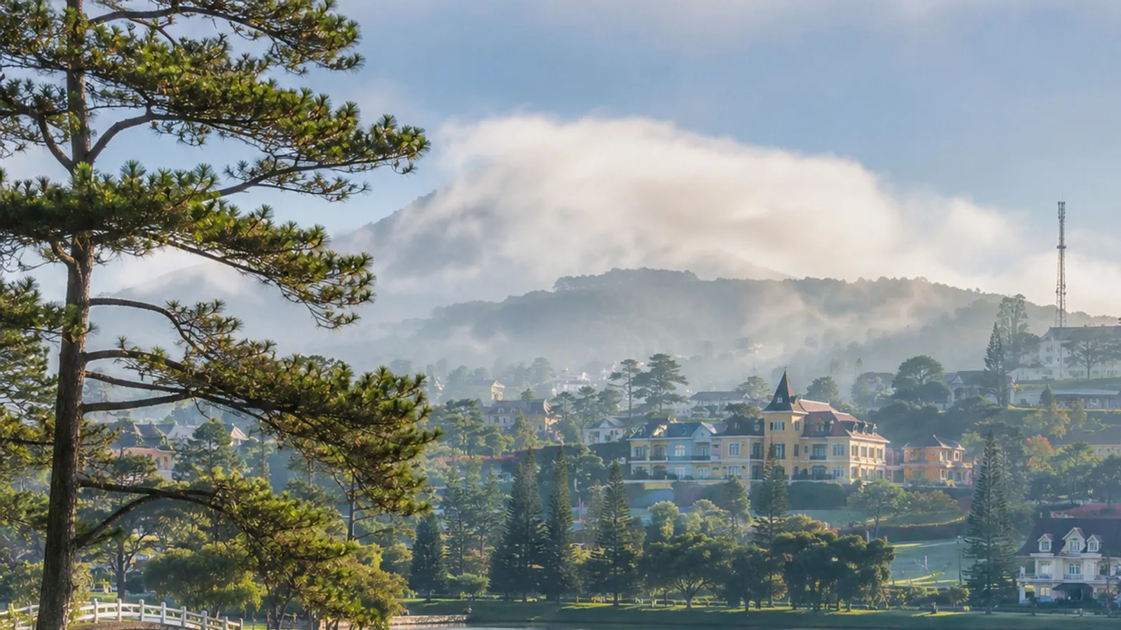 Mist drifting over the pine forests and hills of Da Lat in Vietnam's central highlands