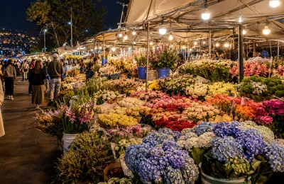 Stalls of fresh flowers under lights at the Da Lat night flower market