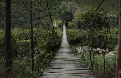 Wooden forest walkway beside a stream in the Datanla valley near Da Lat