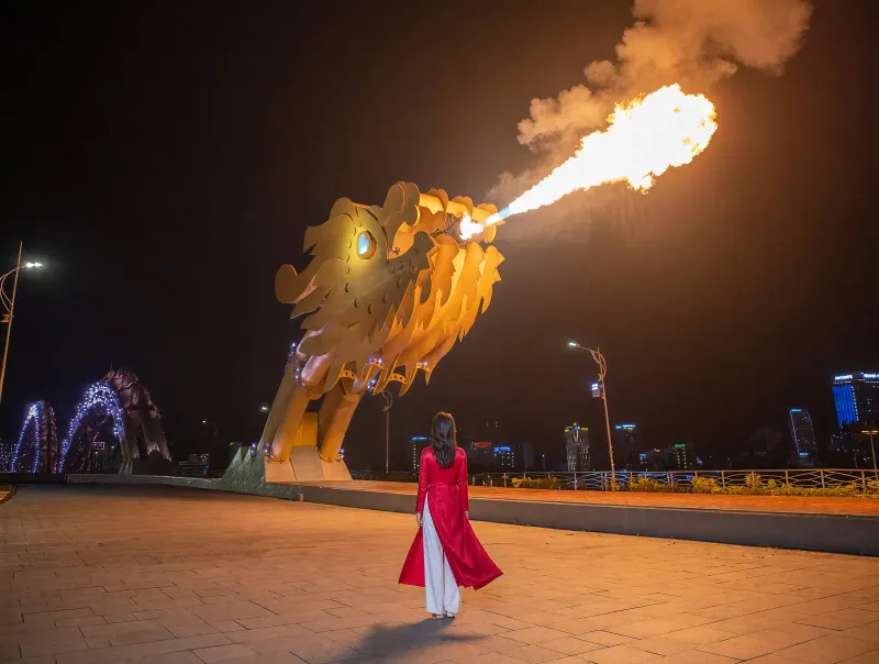 Dragon Bridge lit up at night over the Han River
