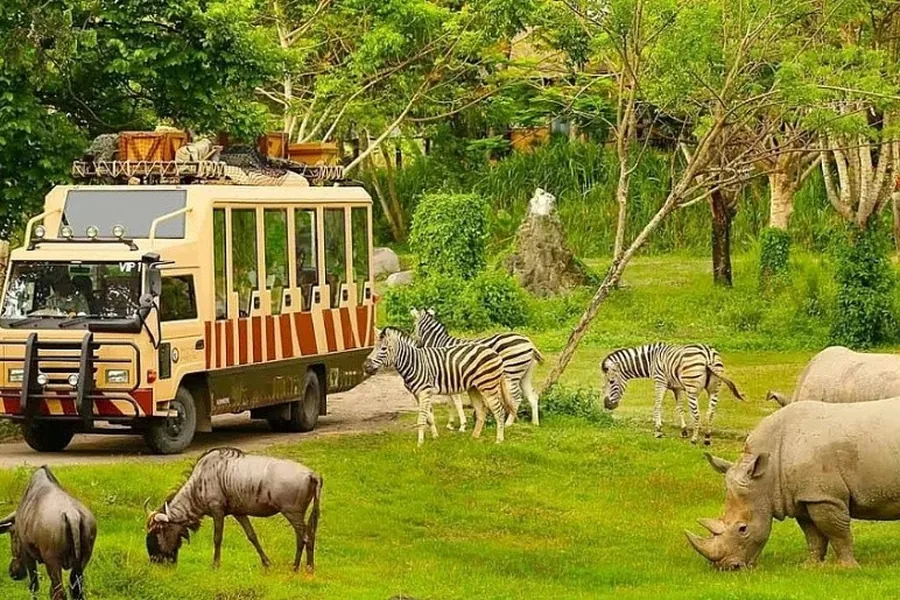 Animals roaming at Vinpearl Safari open-air wildlife park in Phu Quoc